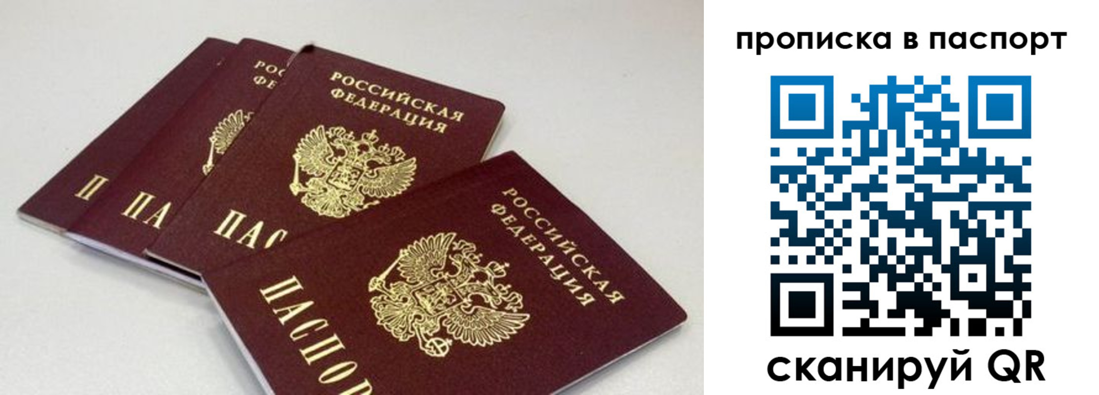 найти адрес прописки в Струнино
